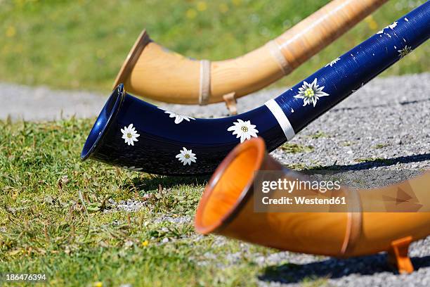 austria, vorarlberg, alphorns on diedamskopf mountain at bregenz forest - alphorn stock-fotos und bilder