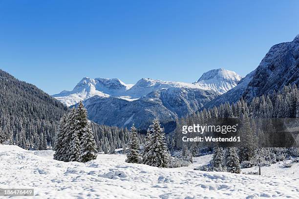austria, vorarlberg, view of lechquellengebirge mountain and zugertal valley - lech valley bildbanksfoton och bilder