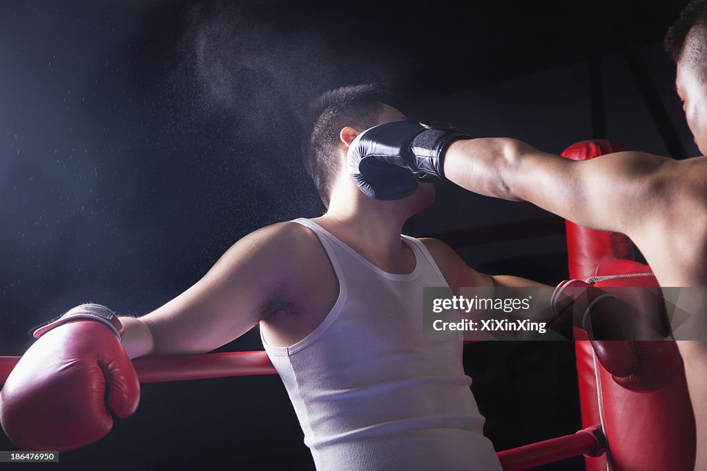 Fhm Boxing Over The Shoulder View Of Male Boxer Throwing A Knockout Punch In The ...