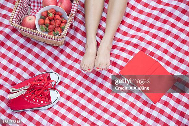 young woman's feet on a checkered blanket with a picnic basket, shoes, and a book - レジャーシー��ト ストックフォトと画像