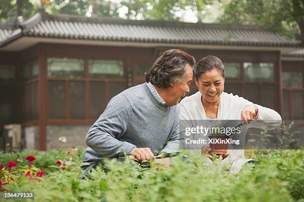 smiling senior couple in garden - adult woman garden flower stock pictures, royalty-free photos & images