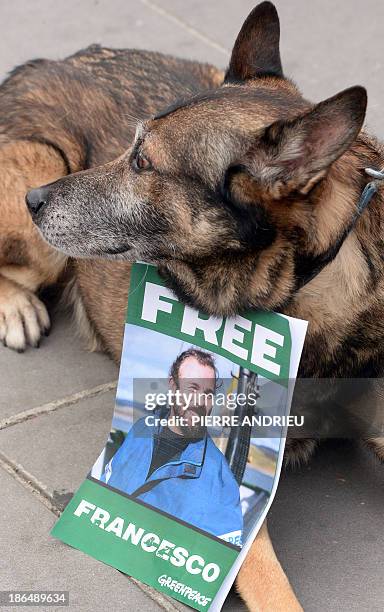 Dog wearing a sign bearing the words "Free Francesco" and a portrait of imprisoned French Greenpeace activist Francesco Pisanu sits on the sidelines...