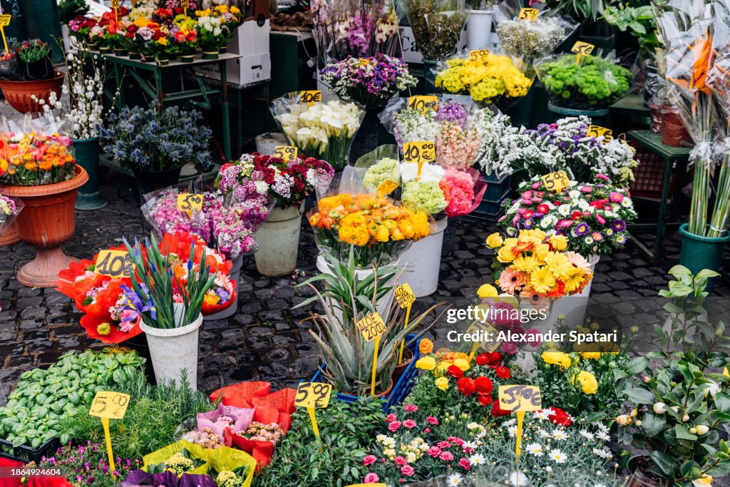 Flowers for sale at Campo de Fiori market, Rome, Italy