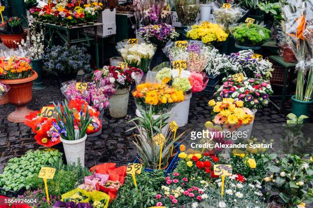 flowers for sale at campo de fiori market, rome, italy - campo de fiori stockfoto's en -beelden