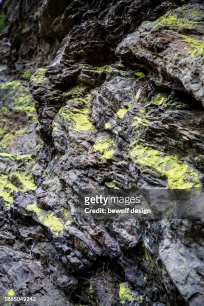 details of rocks in austrian nature - summer natur stock pictures, royalty-free photos & images