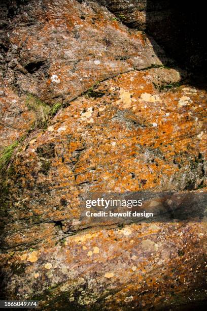 details of rocks in austrian nature - summer natur stock pictures, royalty-free photos & images