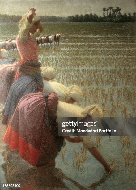 Private collection, Whole artwork view, On the left the 'mondine', rice pickers, at work in a rice field.