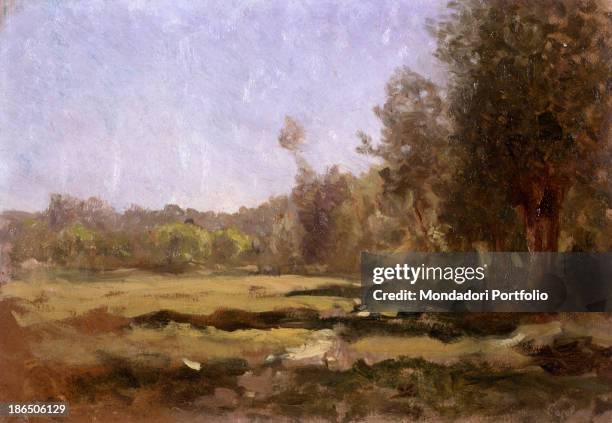 Private collection, Whole artwork view, Landscape with a lawn bordered by trees and the sky in the background.