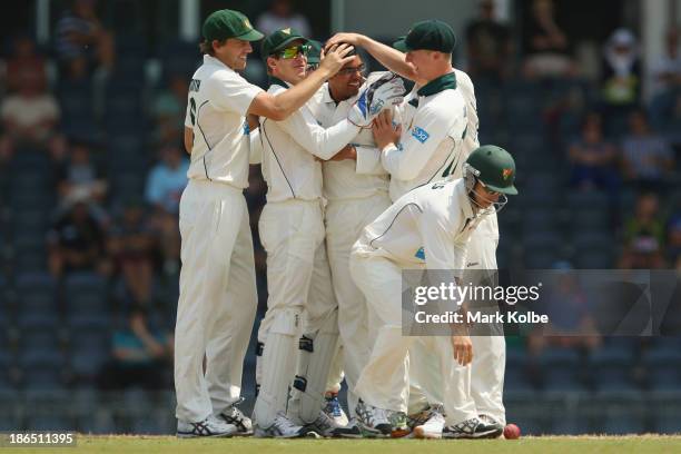 Clive Rose of the Tigers is congratulated by his team mate after taking the wicket of Nic Maddinson of the Blues during day three of the Sheffield...