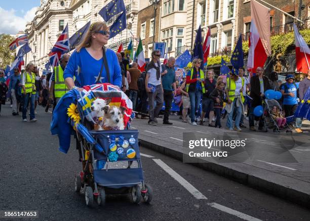 An anti-Brexit woman protester pushes a buggy with two pet dogs at the EU National Rejoin March in central London, UK on 23 Sep 2023. Thousands of...