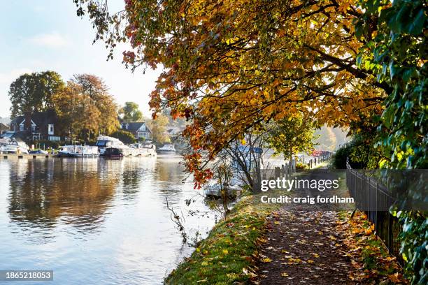 autumn 23.2 - high wycombe stock-fotos und bilder
