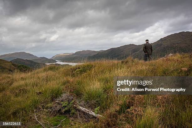 man standing admiring the view of a loch - loch moidart stock pictures, royalty-free photos & images