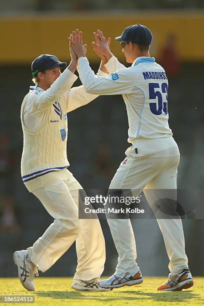 Steve Smith and Nic Maddinson of the Blues celebrate after Maddinson took the catch to dismiss Ed Cowan of the Tigers during day three of the...