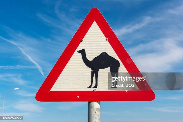 Camel crossing traffic sign, Oman.