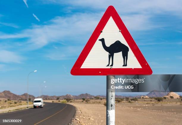 Camel crossing road sign, Oman.