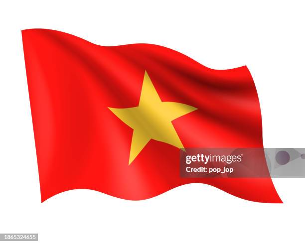 Bandiera 90X150cm, Remembering The Vietnam War 50th - Foto 6