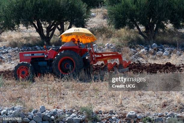 Malia, Crete, Greece, Europe, Farmer driving a red tractor with an umbrella to shade the sun while ploughing a small plot of farmland in a stoney...