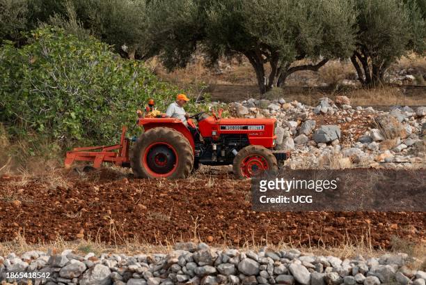 Malia, Crete, Greece, Europe, Farmer driving a red tractor to plough a small plot of farmland in a stoney area.