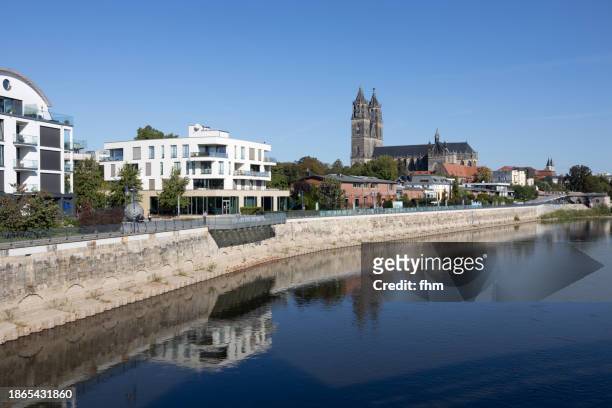 magdeburg historic skyline with famous cathedral at low tide (saxony-anhalt, germany) - drought city stock pictures, royalty-free photos & images