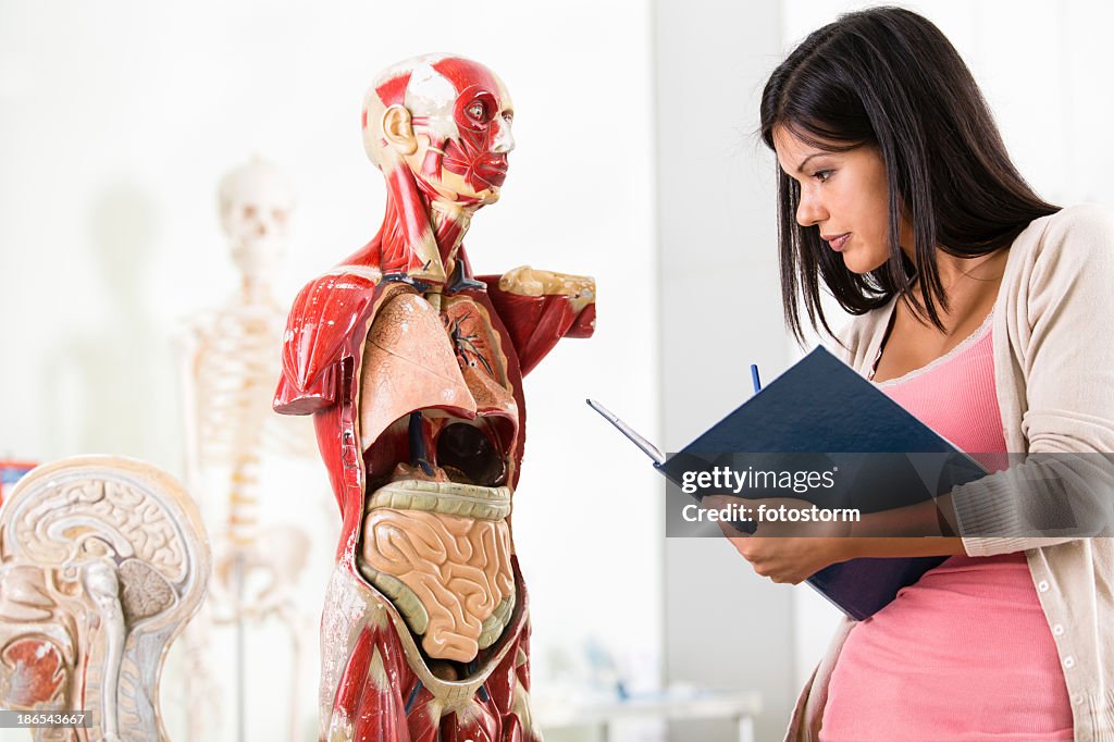 Student on anatomy class
