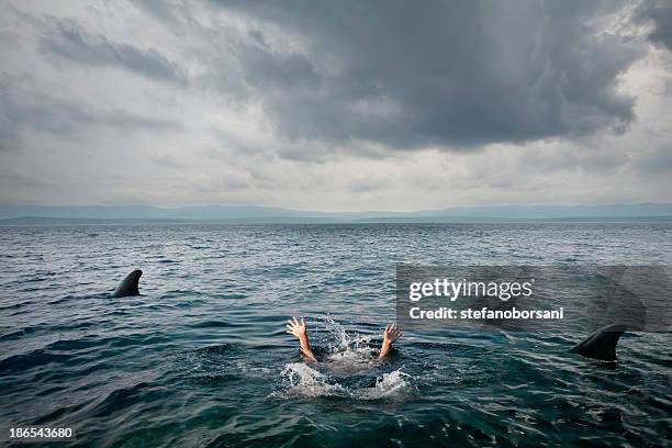 sharks attack - drowning stock-fotos und bilder