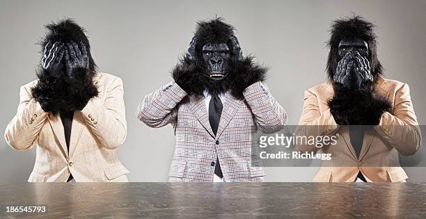 three wise macacos - três animais imagens e fotografias de stock