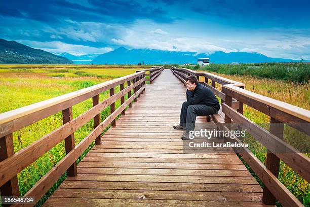 young man slouching on a bench in middle of a flowery meadow - anchorage alaska stock pictures, royalty-free photos & images