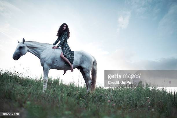 caballo - caballo blanco fotografías e imágenes de stock