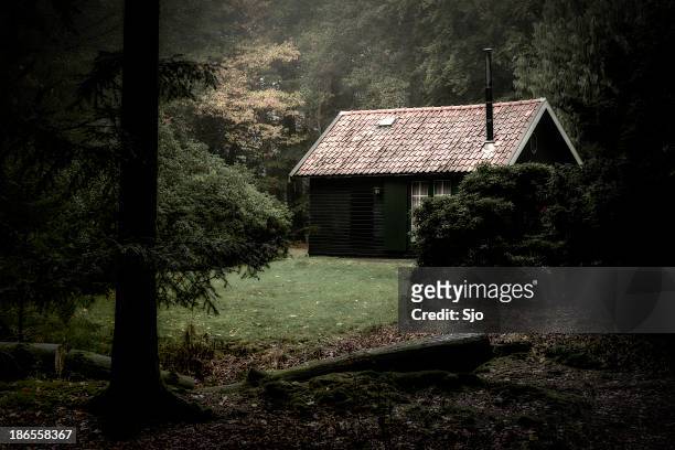 spooky cabin in the woods - woodland stock pictures, royalty-free photos & images