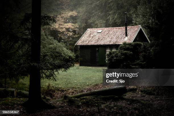 spooky cabin in the woods - haunted house stock pictures, royalty-free photos & images