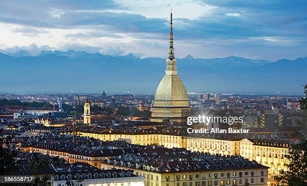 elevated view of turin and the mole antonelliana - torino foto e immagini stock