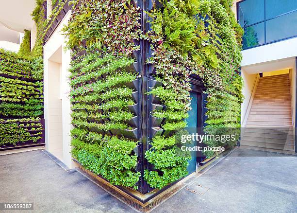 pared fachada de la oficina en esquina, sala de estar - atrio fotografías e imágenes de stock