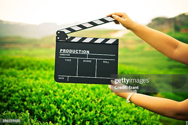 woman holding a clapper board in front of a field - record producers stock pictures, royalty-free photos & images