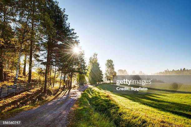 summer field - östergötland bildbanksfoton och bilder