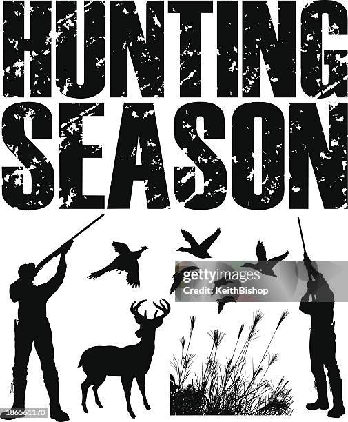 jagdsaison-ente, pheasant, hirsche, hunter - pheasant bird stock-grafiken, -clipart, -cartoons und -symbole