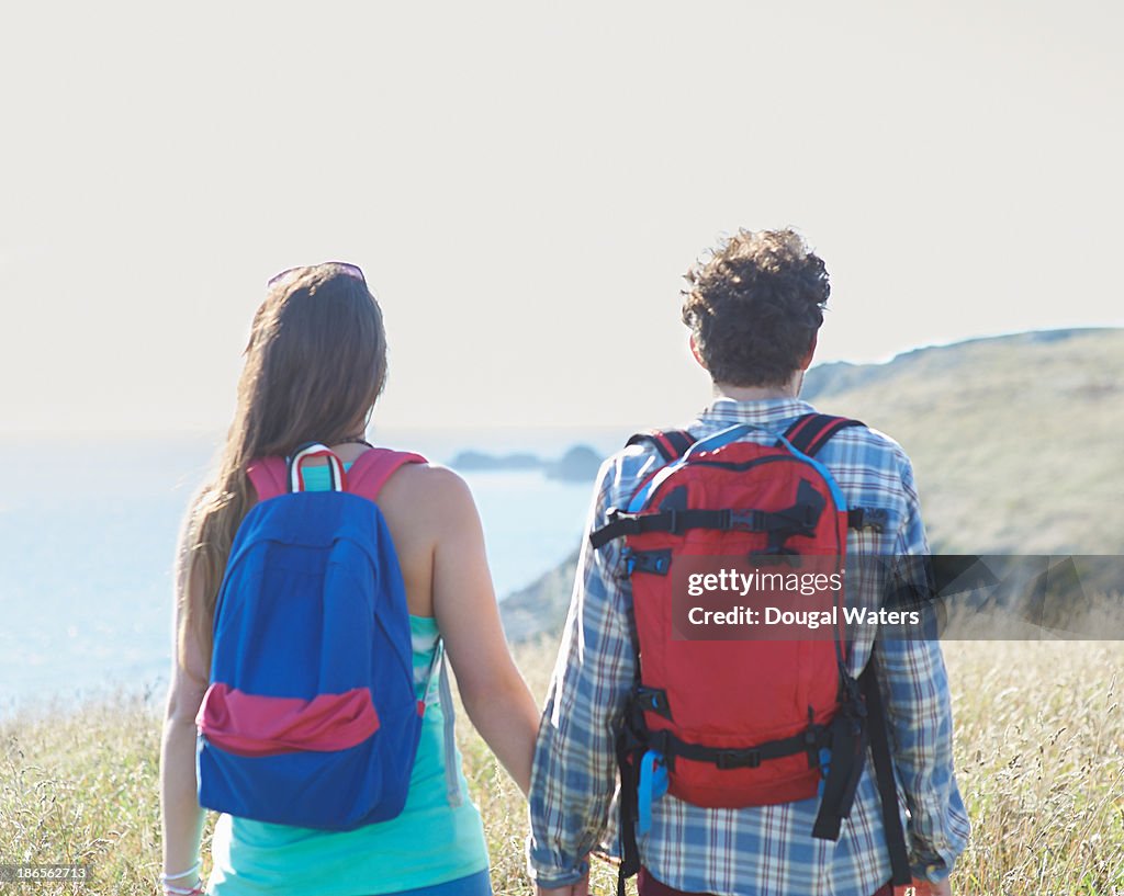 Hikers looking along coastline.