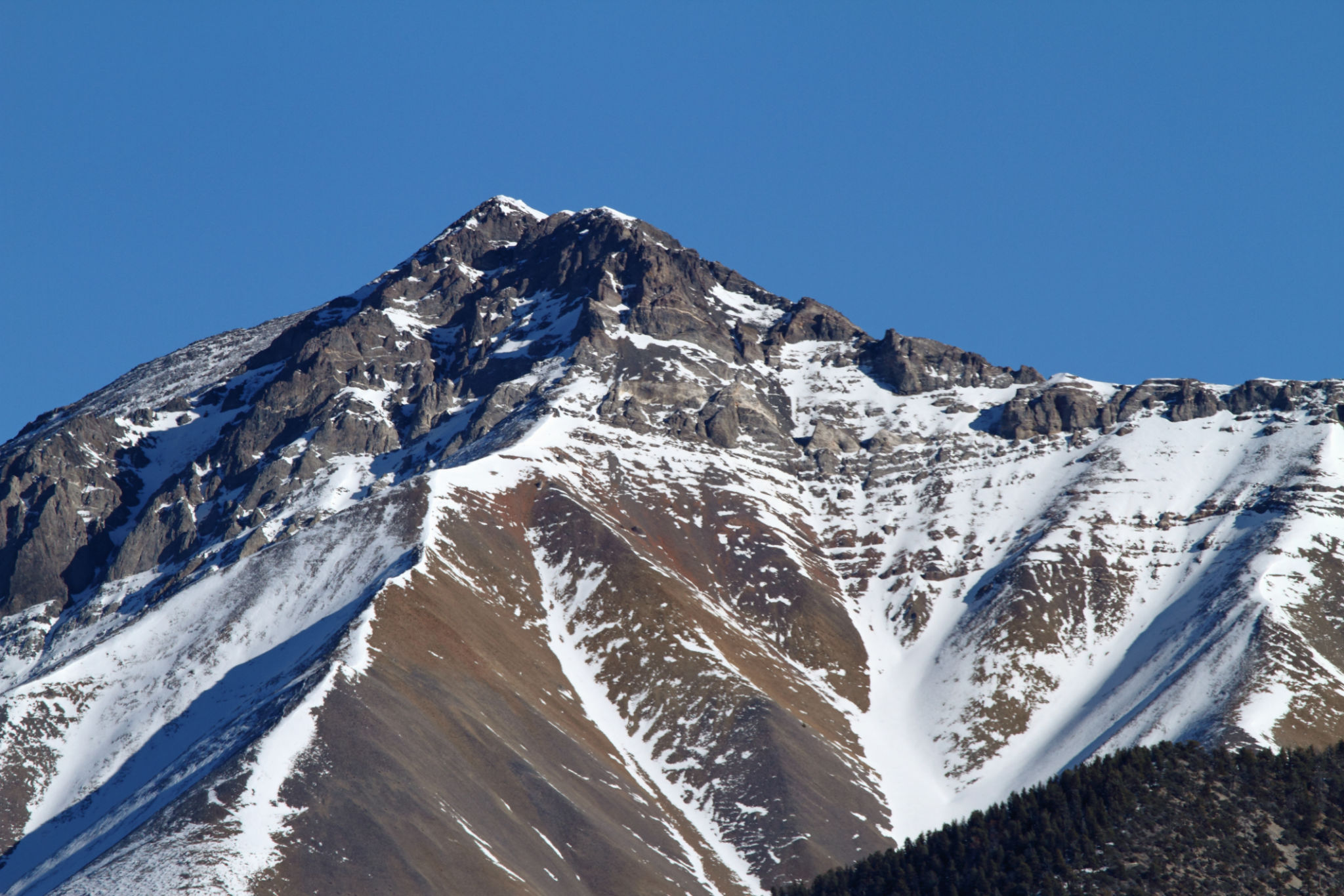 bull head mountain