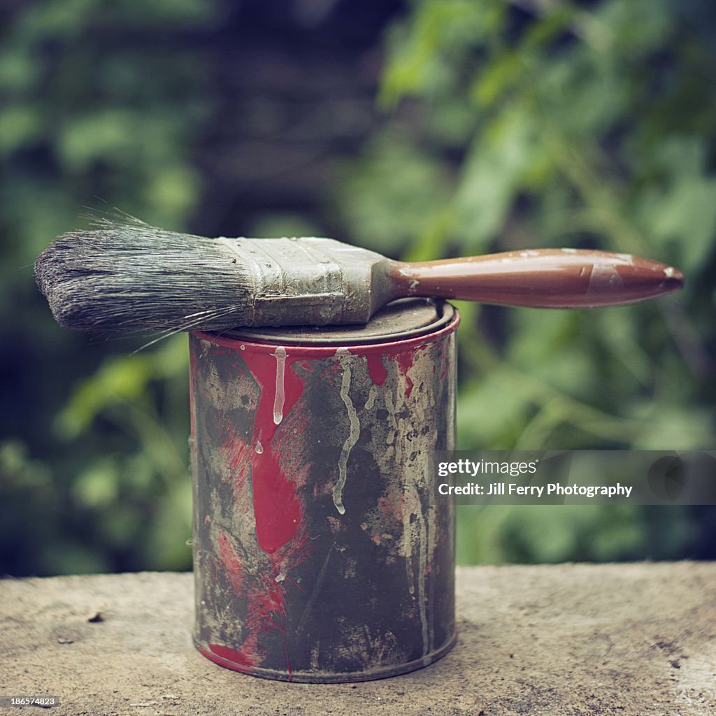 Paint and brush