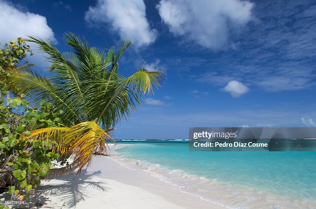 Flamenco beach