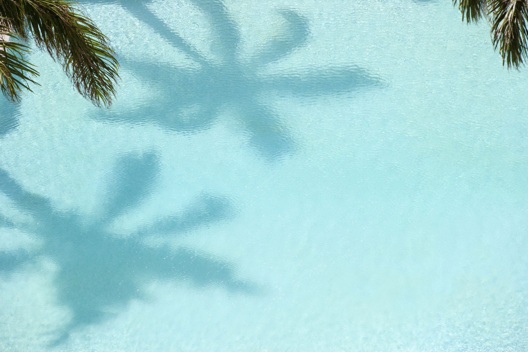 florida pool