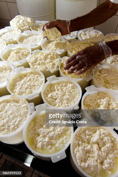 cheeses from minas gerais - belo horizonte brazil stock pictures, royalty-free photos & images