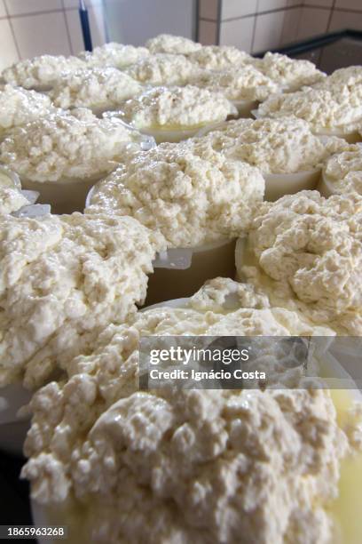 cheeses from minas gerais - belo horizonte brazil stock pictures, royalty-free photos & images