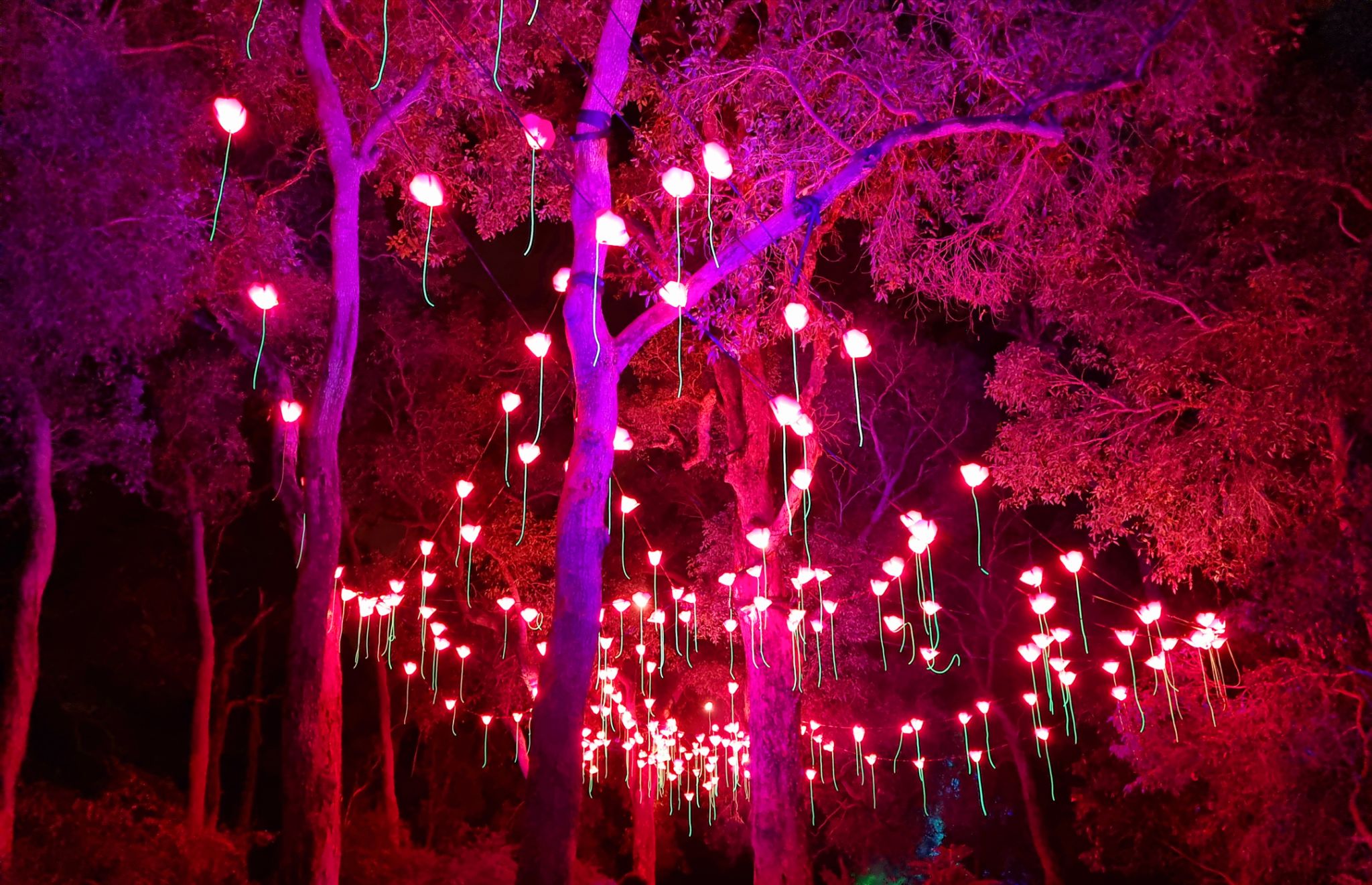Perth Rave Exploring Perth's Vibrant Family Rave Culture: A Seasonal Guide