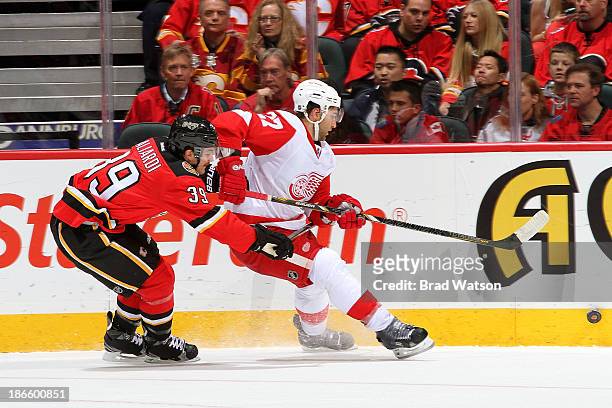 Galliardi of the Calgary Flames skates against Kyle Quincey of the Detroit Red Wings at Scotiabank Saddledome on November 1, 2013 in Calgary,...
