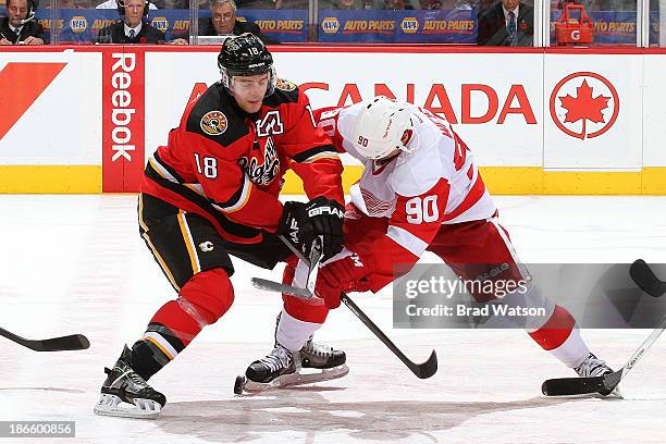 Matt Stajan of the Calgary Flames faces off against Stephen Weiss of the Detroit Red Wings at Scotiabank Saddledome on November 1, 2013 in Calgary,...