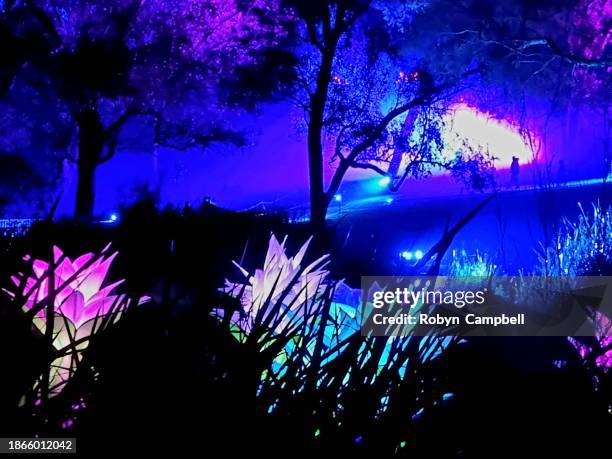 Community Spotlight: How Family Rave Day Brings East Perth Together