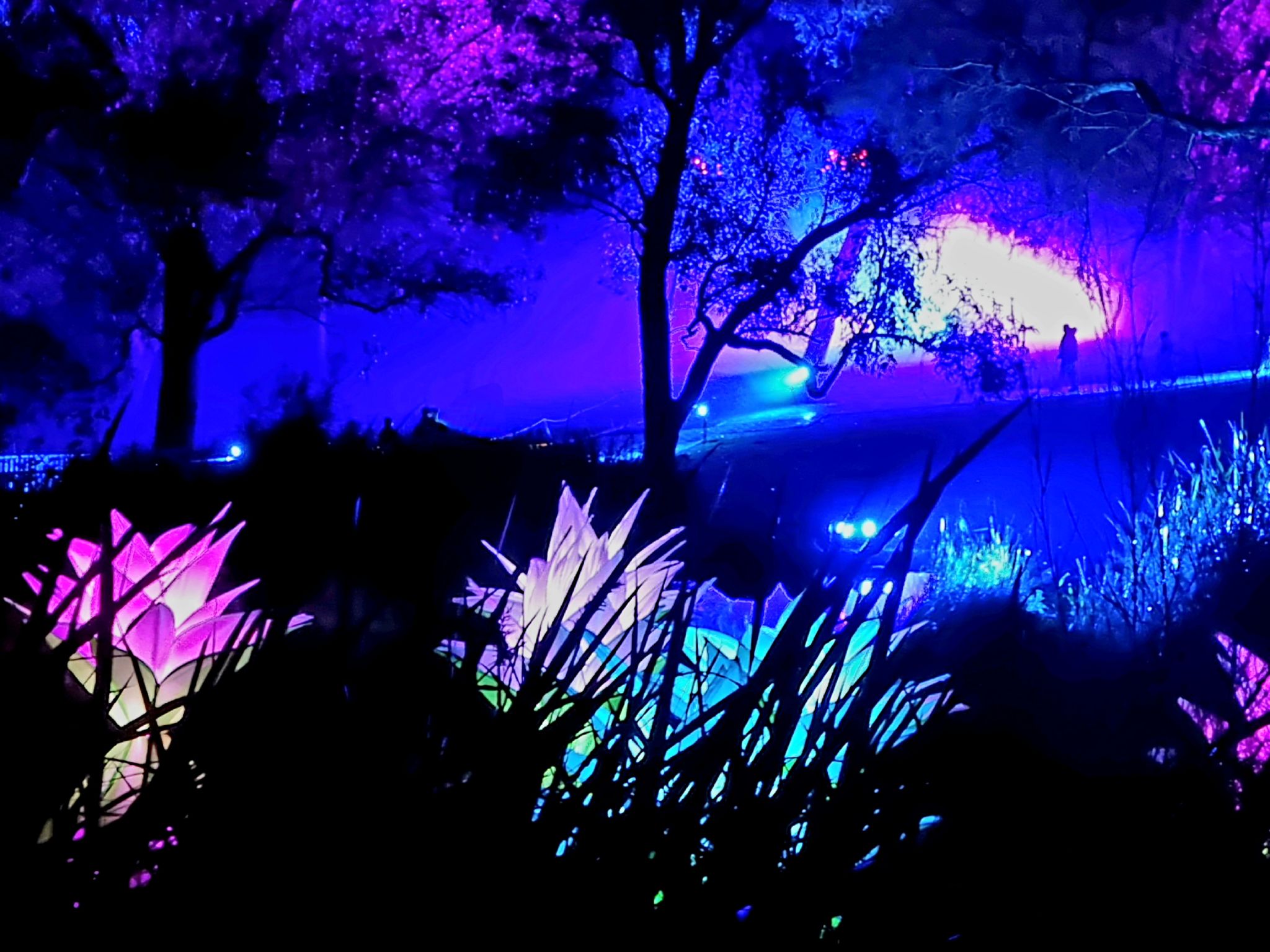 Perth Rave Community Spotlight: How Family Rave Day Brings East Perth Together