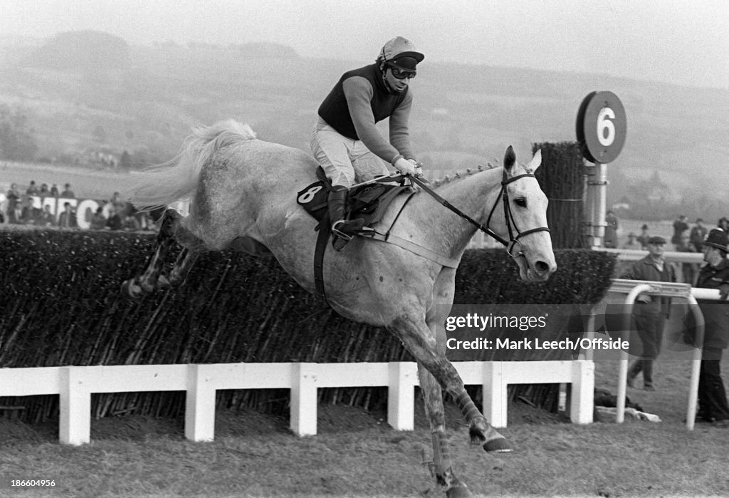 Desert Orchid With Jockey Colin Brown