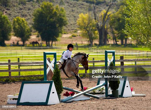 girl riding in hunter jumper competition - hurdle fence stock pictures, royalty-free photos & images