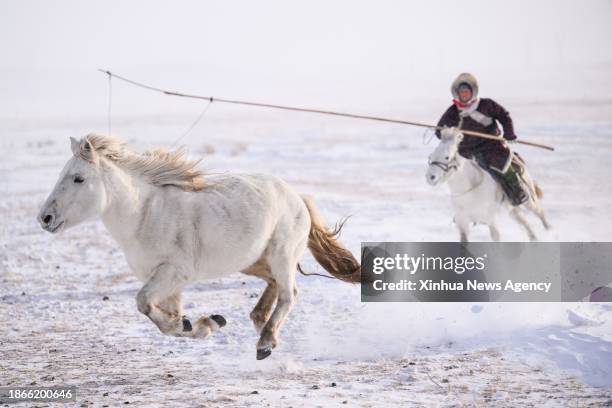 122 West Ujimqin Banner Stock Photos, HighRes Pictures, and Images